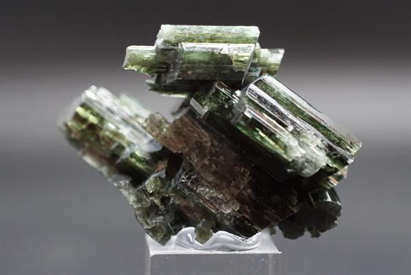 Actinolite