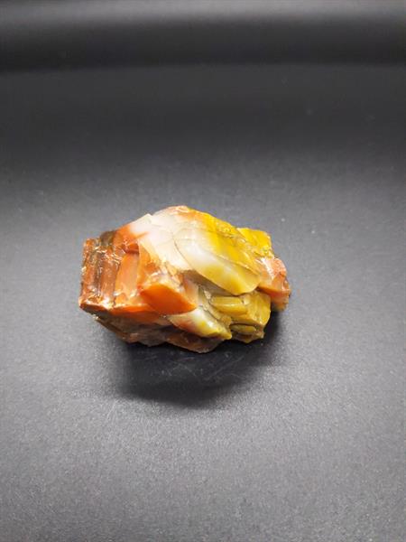 Petrified Wood